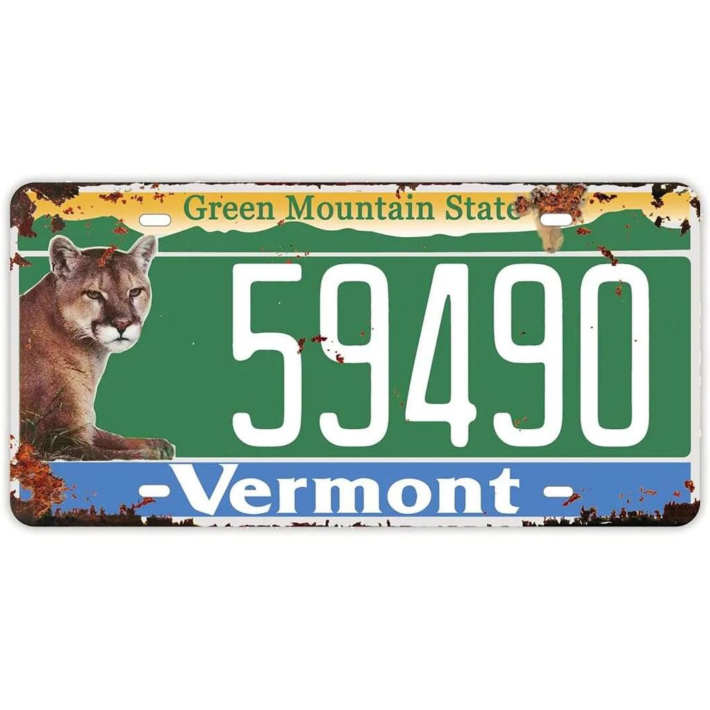 License Plate USA Retro Car Metal License Plate Novelty Wall Decoration Auto License Plate Signs Front Cover Garage Cafe Pub Bar