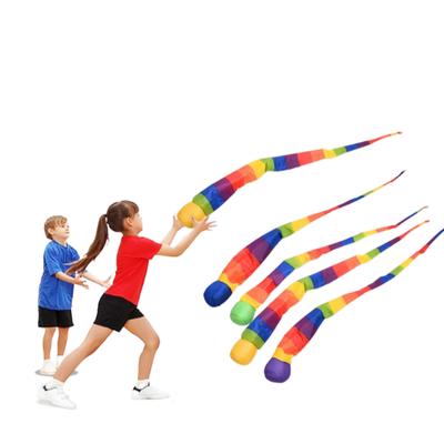 Сенсорная тренировка Радужный хвост Мяч Экологичная ткань Метеор Болл Детский сад