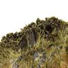 Stones and Minerals. Epidote. 959.0 Ct. Casterner De Les Olles, Lleida, Spain.