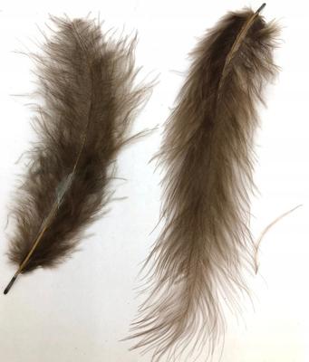 Brown Feathers 10-12Cm Pack of 50 Pcs
