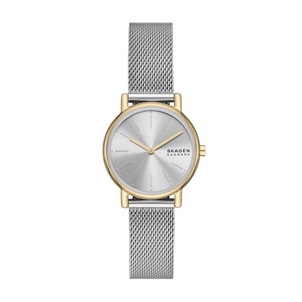 Skagen SIGNATUR LILLE SKW3153SET Women's Silver Watch