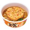 Donbei Oni Kakiage Udon and Savory Nissin Foods Cup 96g X 12 Packs [Sweet Large-Cut Onions] Noodles,