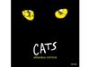 OST GEKIDAN SHIKI MUSICAL CATS Memorial Edition 2CD+БУКЛЕТ TYCT-60136 НОВЫЙ