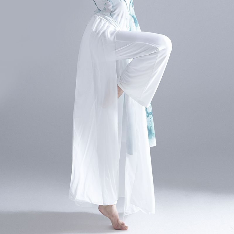 Одежда для занятий классическими танцами в китайском стиле с брюками и комплектом одежды для выступлений из сетки