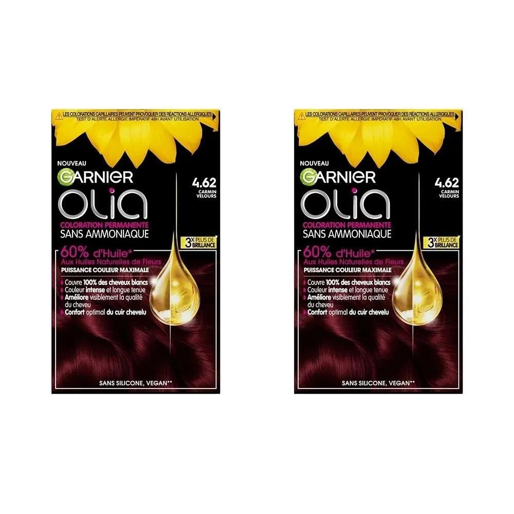 Garnier Hair Color 2-Pack 4.62 Carmine Velvet Permanent Color Without Ammonia