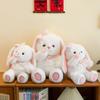 Plush Bunny Toy Cute Cartoon Butterfly Girl Children Birthday Holiday Gift Doll