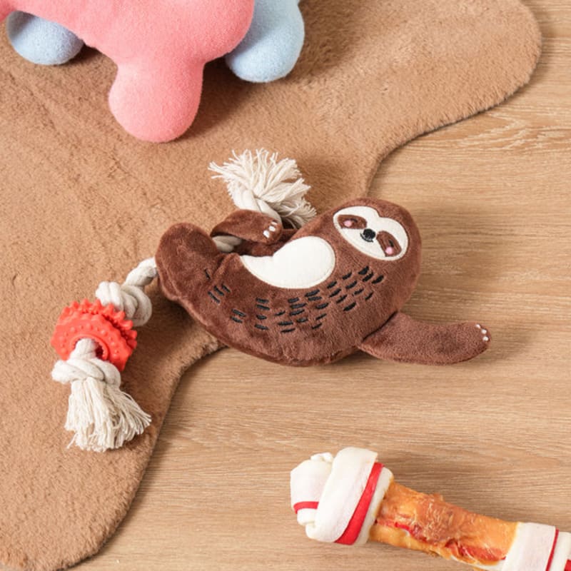 [Домашнее животное] Ленивец Ленивец