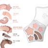 TIPTOE Wish Touch Eye Palette  6 Colors