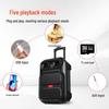 Портативная Bluetooth-колонка Aigo S56 12 дюймов на колесиках с микрофоном, штепсель CN (адаптер в комплекте)