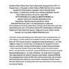 основной набор: отбеливающий тонер и эмульсия