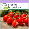 Organic - Помидоры - Рома - 15 семян - Solanum lycopersicum