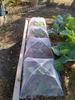 3 шт. Сетчатый чехол-палатка для еды на открытом воздухе, 17 дюймов, многоразовый и складной, сетчатый чехол для еды на пикник, вечеринку, барбекю, кемпинг