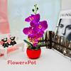 Phalaenopsis Artificial Decor With Highquality Materials For Gift And Use Event