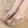 Lucyever Gold Silver Sequins Wedges Slippers for Women 2024 Summer Open Toe Platform Sandals Woman High Heels Slides Ladies 40