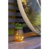 Pineapple Solar Lamp - - Metal/Glass - 5 LEDs - 8 Hours of Lighting