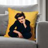 Singer JJoe KKeery Various Sizes Square Pillow Case For Car Home Bedchamber Decor Custom Valentine gift
