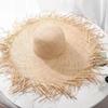 Summer Ins Travel Vacation Style Raffia Straw Women's Big Brim Sun-Proof Frayed Temperament Beach Hat