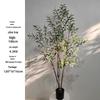 Olive Tree Potted Plant - Indoor Decor Simulation for Living Room