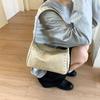 Spice Girl Style Small Bag Women's New Fashionable Simple Armpit Bag Summer Advanced Sense Rivet Pillow Bag