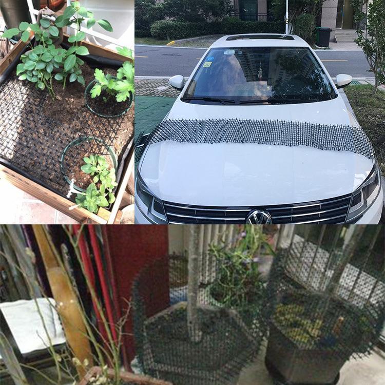 Pet Spike Mat: Cat & Dog Deterrent for Gardens - Protects Vegetables & Flower Beds