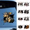 Car Funny Stickers Realistic Exquisite Pattern Simulation Pet Crack Design 3D Effect Decorate Eye-catching