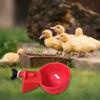 6-24Pcs Poultry Drinking Bowl Feeder Automatic Chicken Drinker Cup Kit Farm Animal Drinking Water Feeder Chick Coop Accessories