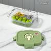 Reusable Plastic Bento Lunch Box For Kids Student With Compartment Portable Leak Proof Fruit Salad Food Container Microwave Safe