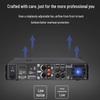 DAIPU DP-PL650 650W 2U Power Amplifier (CN version)