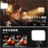 NEEWER BASICS BP66 2-Pack LED Video Light Kit for Photography, Includes 2 Stands & 2 Filters, High Color Rendering (CRI 95+), Dimmable, Bi-color (3200