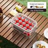 Portable Fresh-Keeping Bento Box for Outdoor Picnic with Large Capacity and Fruit Seal