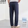 Мужские повседневные брюки прямого кроя JEEP SPIRIT