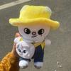 New Fans Plush Toys Cute Pillows Support Dolls for Men And Women Spring Ideal Christmas Birthday Gifts
