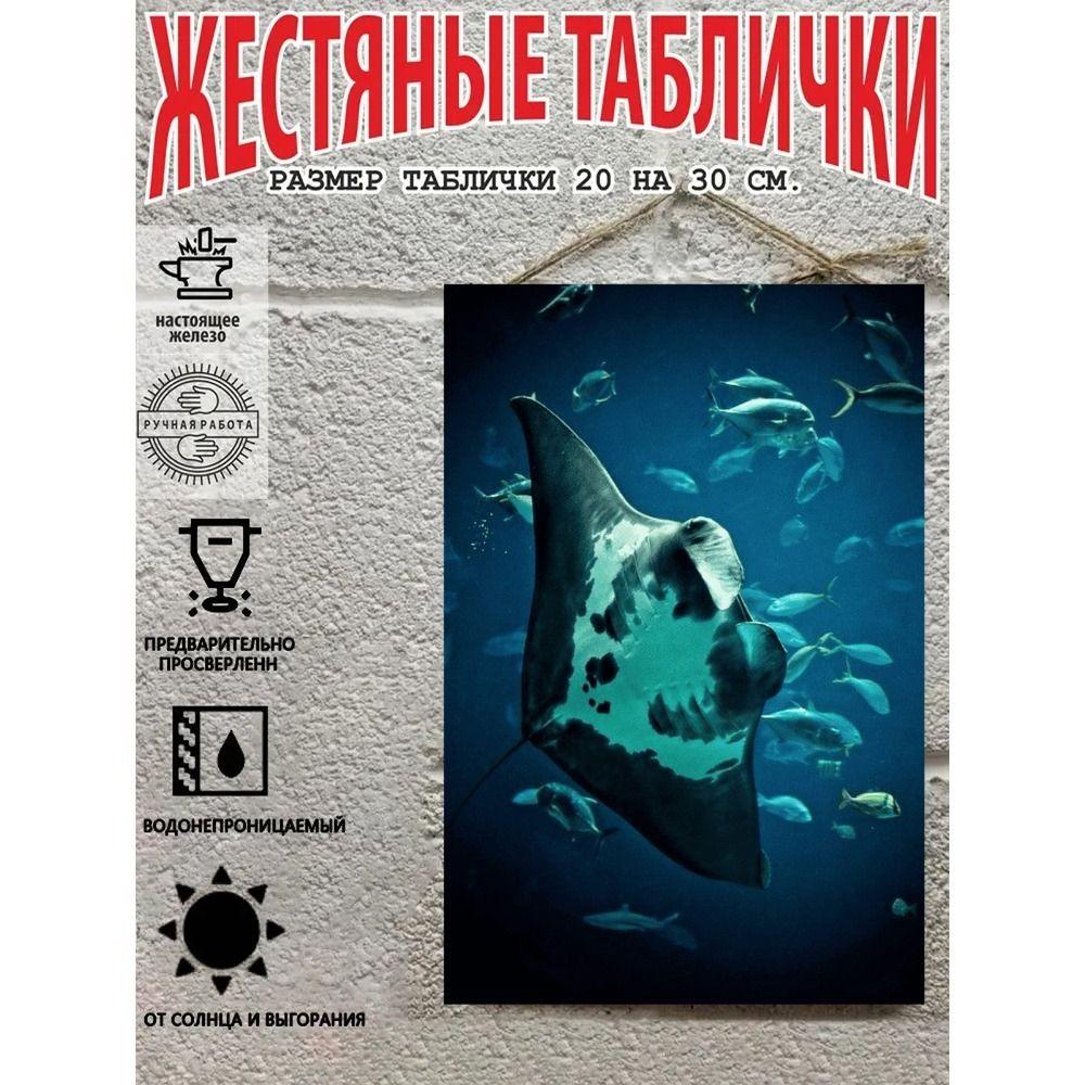 Металлические Настенные Знаки, Коллекция Морских Существ, Декор Комнаты, 20x30 см