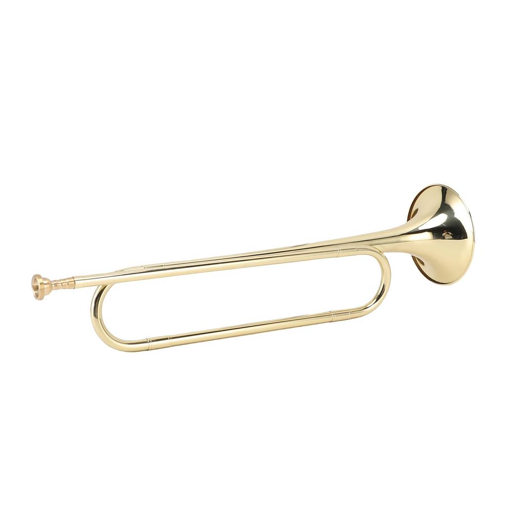 Btuty Trumpet for Beginners and Students, Brass Construction, Bright Tone, Large Bell Design, School Band Practice, Professional Orchestra Compatible,