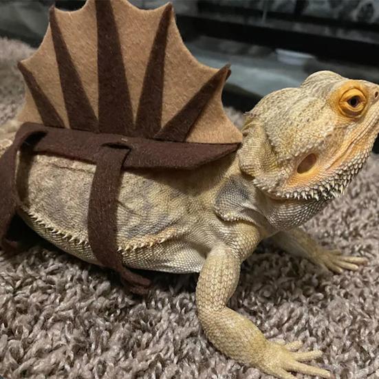 Костюм ящерицы Реалистичный Приятный на ощупь Форма динозавра Рептилия Бородатая агама Ящерица Одежда Наряды для веселья