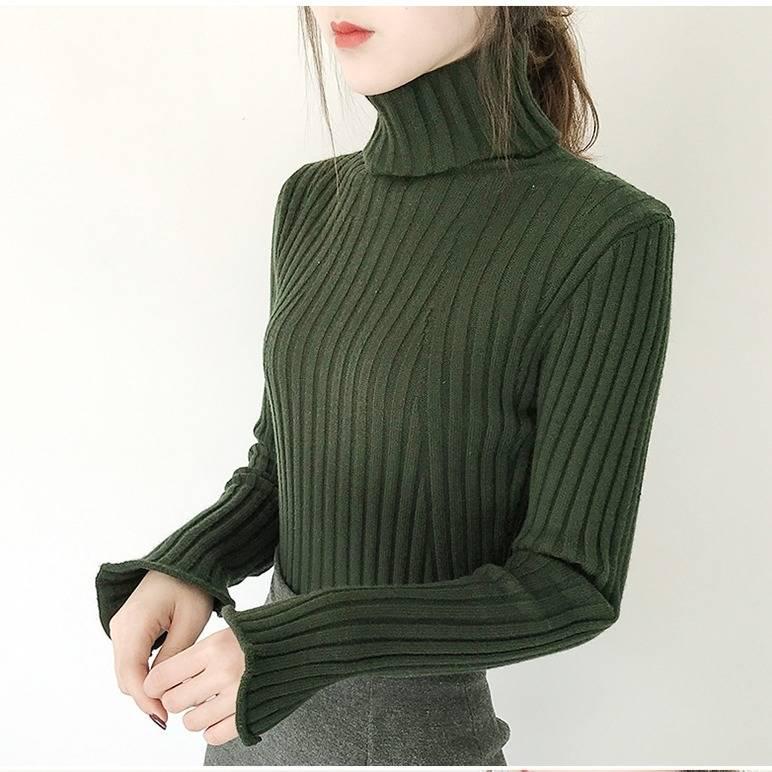 Autumn and Winter Turtleneck Sweater Women's Knit Bottoming Shirt Slim Inside Long Sleeves