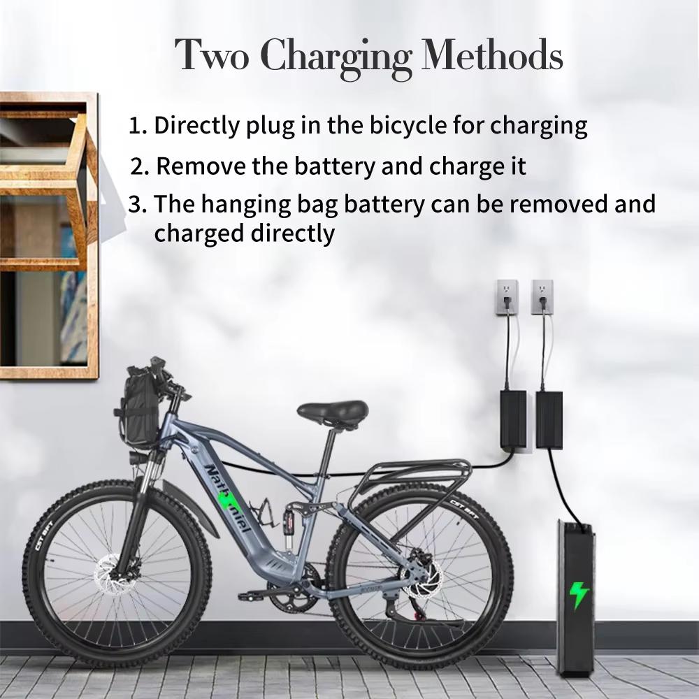 Ebike SYR03 Внедорожный электрический горный велосипед 1000 Вт 48 В 20 Ач с питанием от литиевой батареи, мягкий задний амортизатор, вседорожный