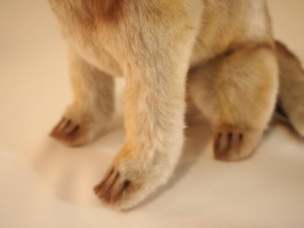 BH6740 HANSA Волчий щенок 30