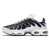 Air Max Plus Белый Черный Металлик Оловянный CT1094-102