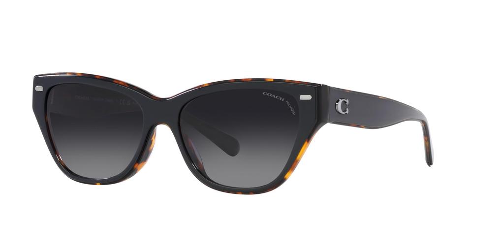 Sunglasses HC8370F CH660 TORTOISE GRADIENT POLAR Lens 56 [Coach] BLACK/DARK Frame/GREY