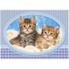 Castorland Kittens Curling Up Blanket Puzzle 120pcs