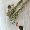 Dried Bunny Tail Prairie Arrangement with Wheat, Oats, and Foxtail Grass