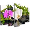 Five Piece Picture Canvas Print Zen Flowers Bamboo Stone