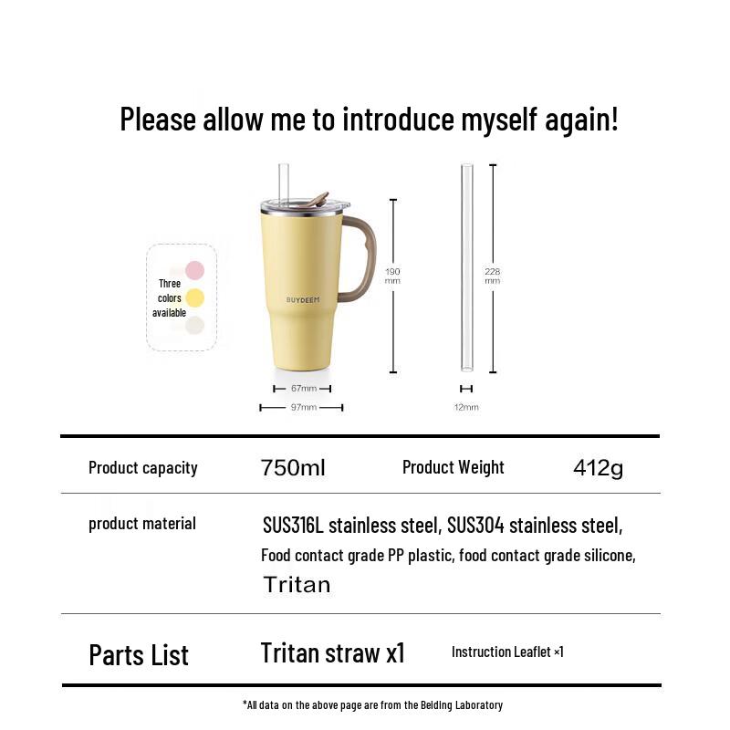 Buydeem 750ml Stainless Steel Straw Tumbler