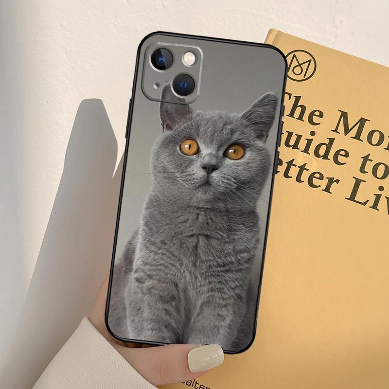 Чехол для телефона Британская короткошерстная кошка Для iPhone 17 16 15 14 11 12 13 Pro Max mini XR 16e 15 16 Plus 17 Air Полное покрытие