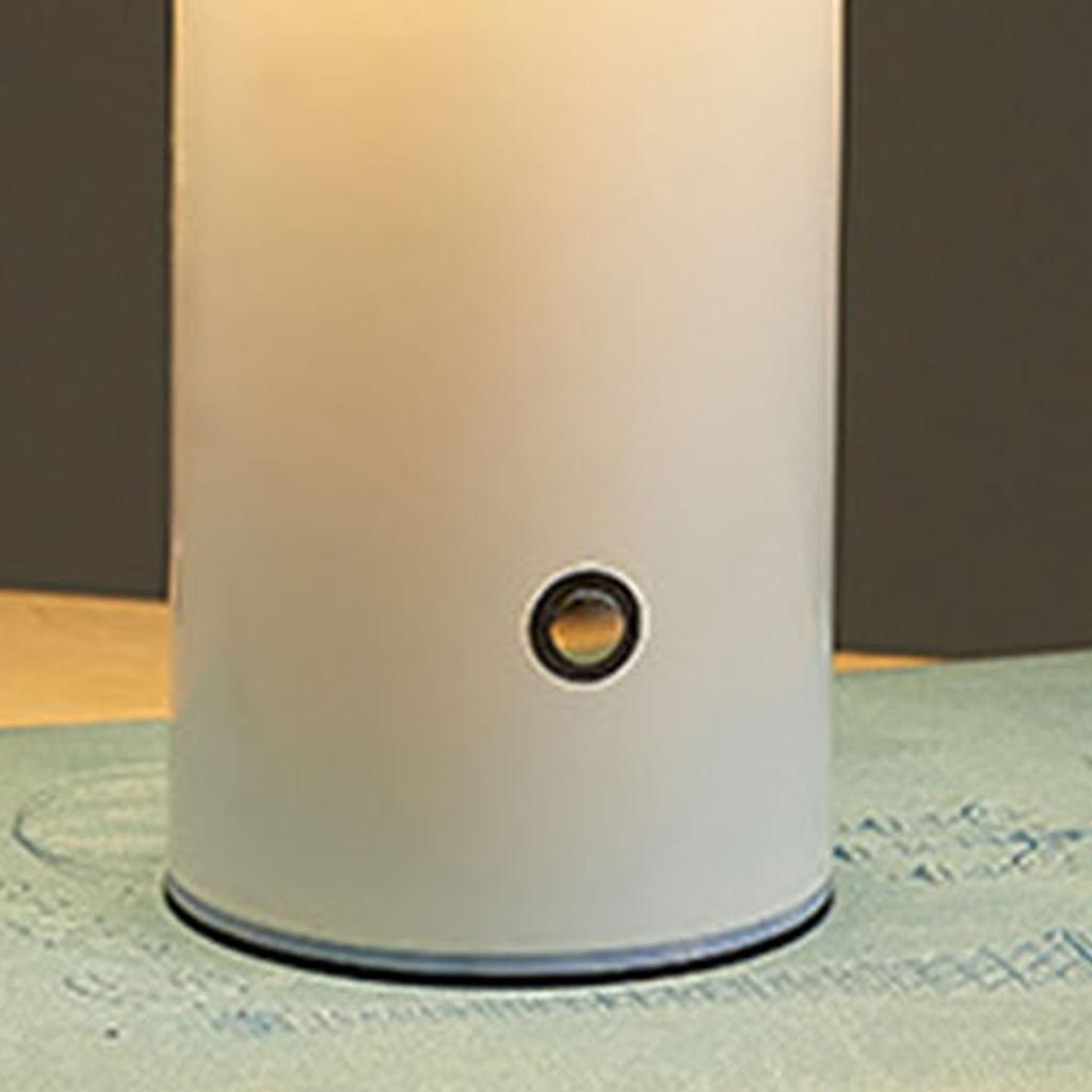 Грибковая настольная лампа Три цвета Светодиодные бусины Плавная регулировка яркости Грибковая лампа Ночник для спальни Прикроватный