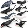Blue Whale Marine Animal Pvc Model Collection For Kids Educational Display Toys