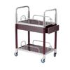 Modern 2-Tier Mobile Serving Trolley