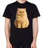 Persian Cat Unisex TShirt