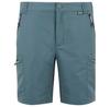 Leesville III Shorts